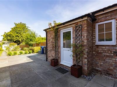 Picture 21